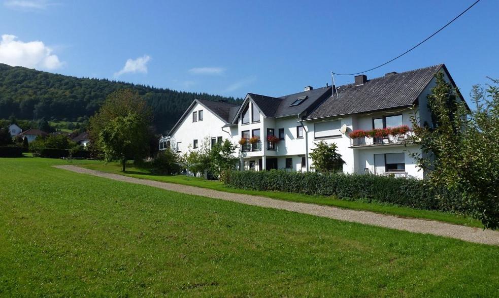 Osann-Monzel Weingut Harald Ludwig 아파트 외부 사진