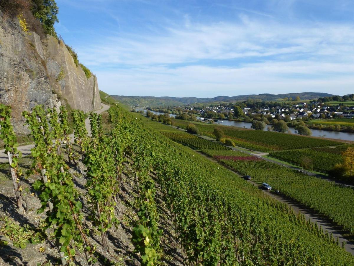 Osann-Monzel Weingut Harald Ludwig 아파트 외부 사진