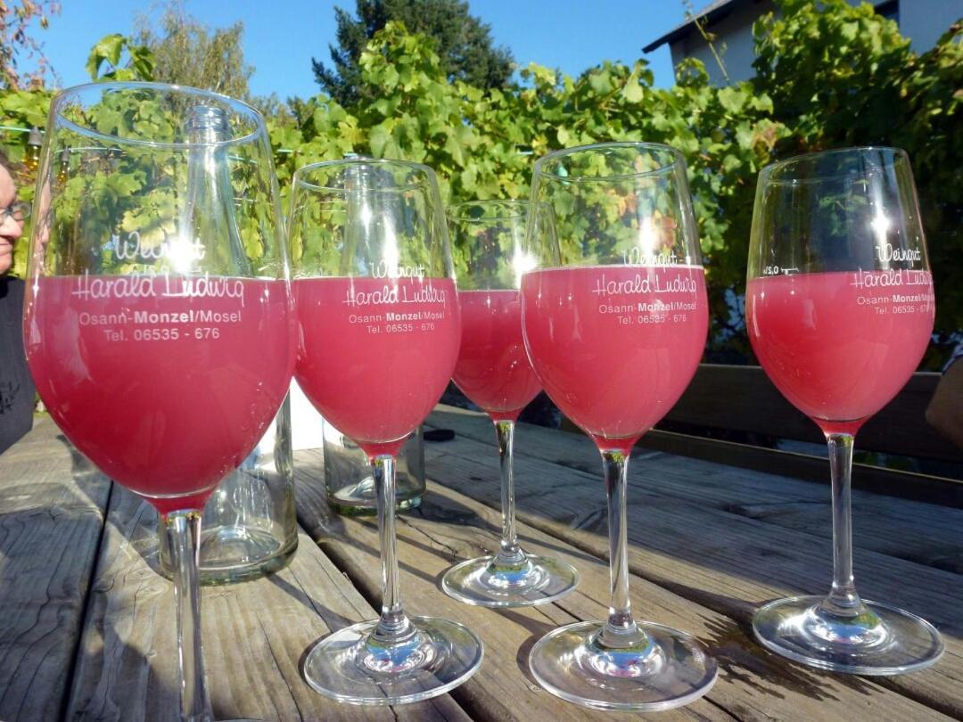 Osann-Monzel Weingut Harald Ludwig 아파트 외부 사진