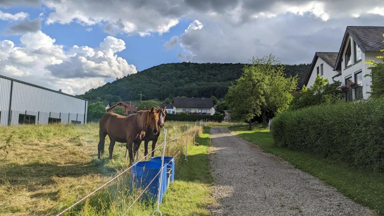 Osann-Monzel Weingut Harald Ludwig 아파트 외부 사진
